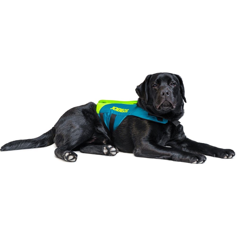 Jobe honden zwemvest Lime Teal 4